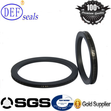 High Perfermance PTFE Spring Energized Seals